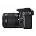 EOS 100D + EF-S 18-55mm + EF-S 55-250mm, Auto, Nuvoloso, Modalità personalizzate, Luce diurna, Flash, Fluorescente, Ombra, Tungsteno, Lume di candela, Bambini, Da vicino (Macro) , Paesaggio, Ritratto notturno, Ritratto, Sport, Priorità apertura, Auto, Manuale, Programma, Priorità otturatore, Bi - Foto miniatura 2